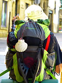 Camino Pilgrim_opt