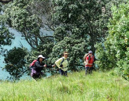 Nordic Walking Bush And Beach Waiheke 2011