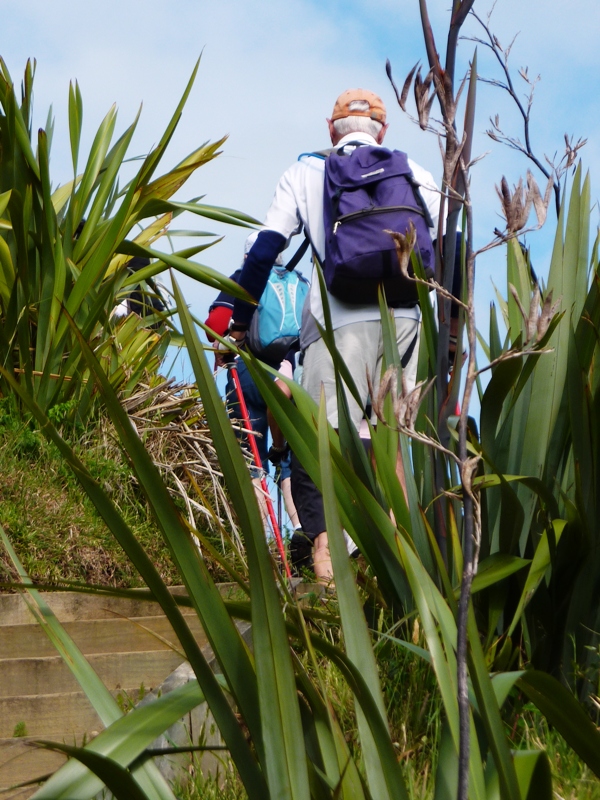 Nordic Walking At Waiheke Walking Festival 2012