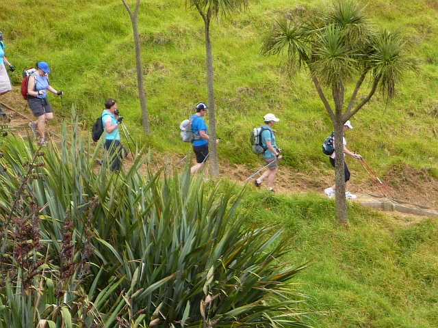 Waiheke Downhill Trail