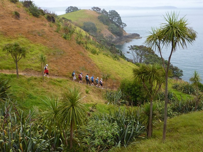 Waiheke Island Scenic Trail