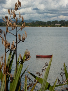 Wattle Downs Esplanade I