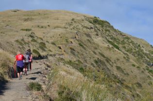 Kapiti Nordic Walkers